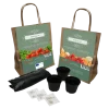 Anzuchtset Rezepttüte
