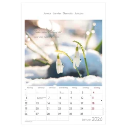 Bildkalender