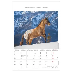 Bildkalender Tiere