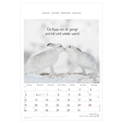Bildkalender Tiere