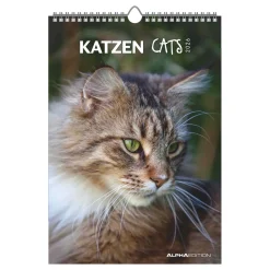 Bildkalender Tiere