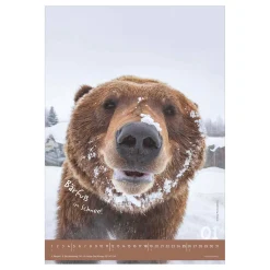 Bildkalender Tiere