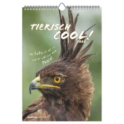 Bildkalender Tiere