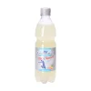 Blankenburger Wiesenquell Blanken. Iso Drink, 500 ml