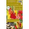 Blumenzwiebeln Frühjahr Nachfüller