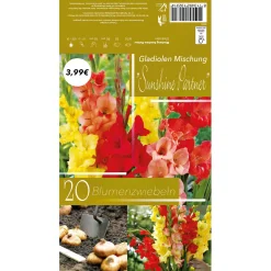 Blumenzwiebeln Frühjahr Nachfüller