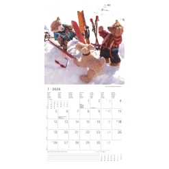 Broschürenkalender 2026 Teddy