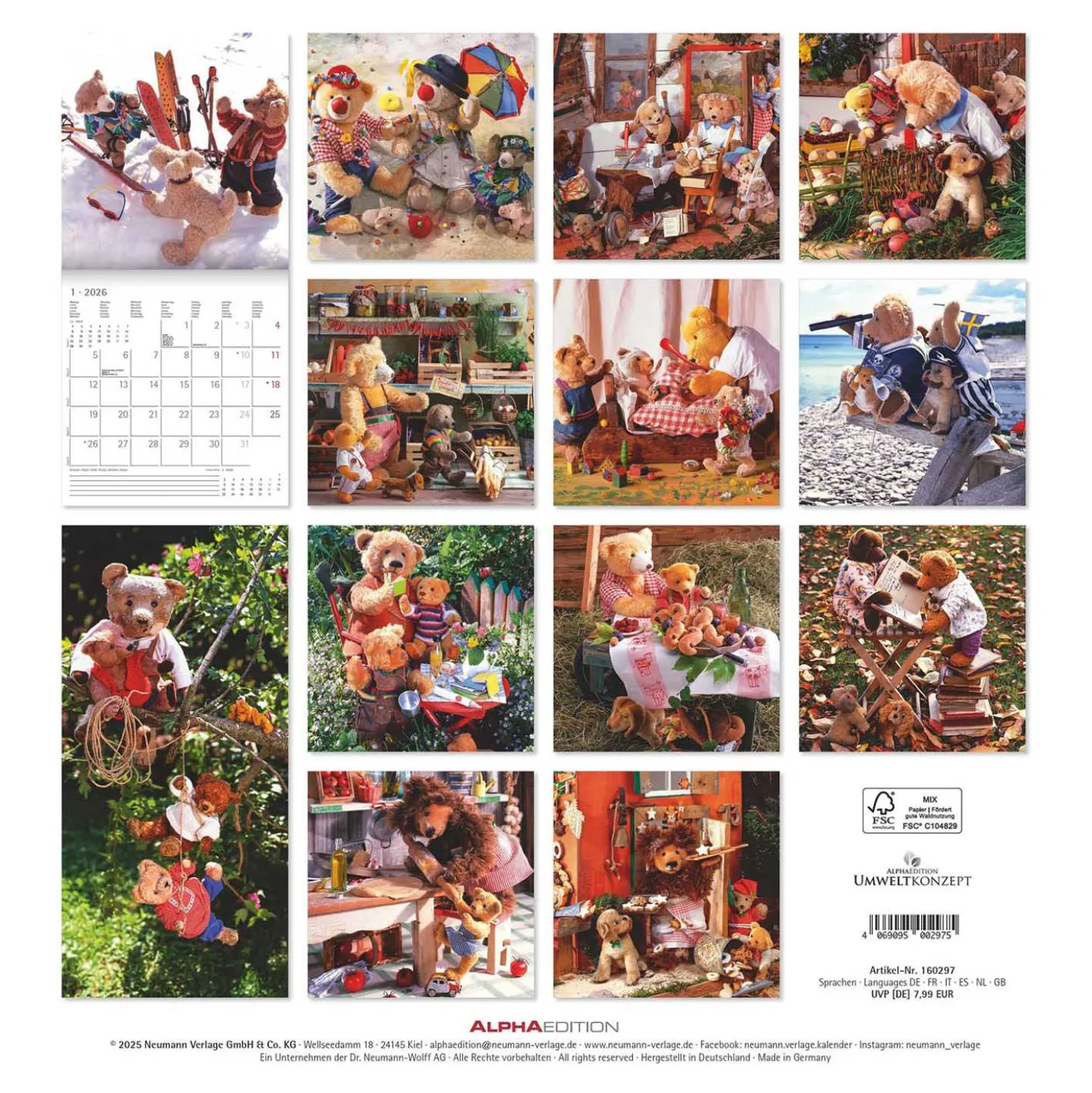 Broschürenkalender 2026 Teddy