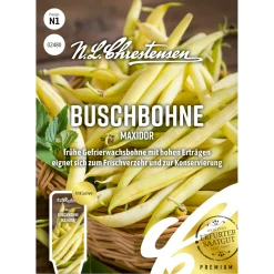 Buschbohne Maxidor