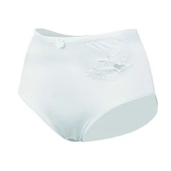 Damen Slip Microfaser mit Stickerei, weiß, 2 Stück