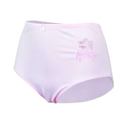 Damen Slip Microfaser Pastellfarben, 2 Stück