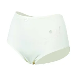 Damen Slip Microfaser Pastellfarben, 2 Stück