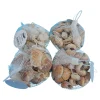Deko–Muscheln im Netz