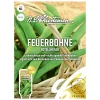 Feuerbohne Rotblühende