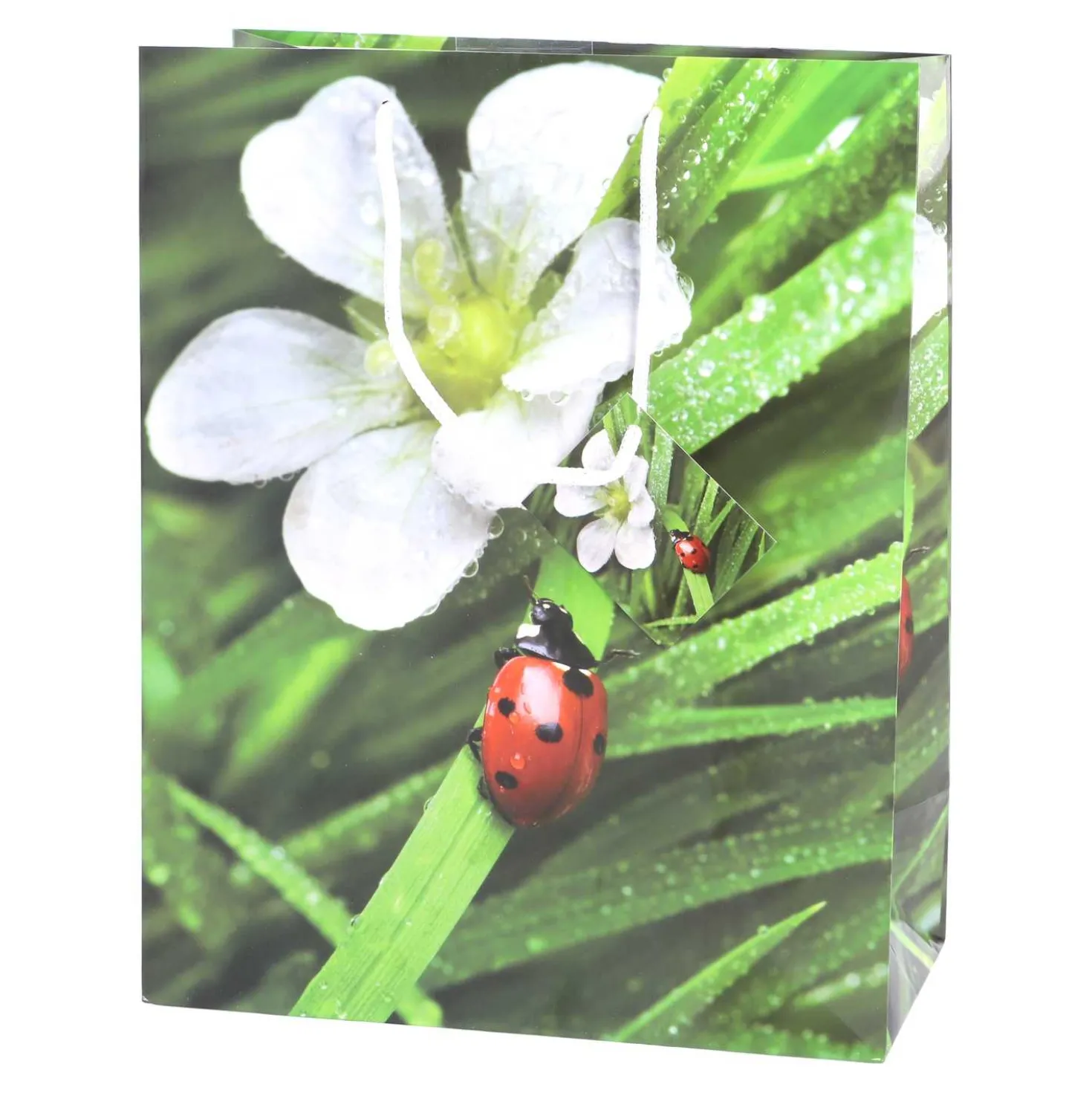 Geschenktüte Lack groß Blumen A4