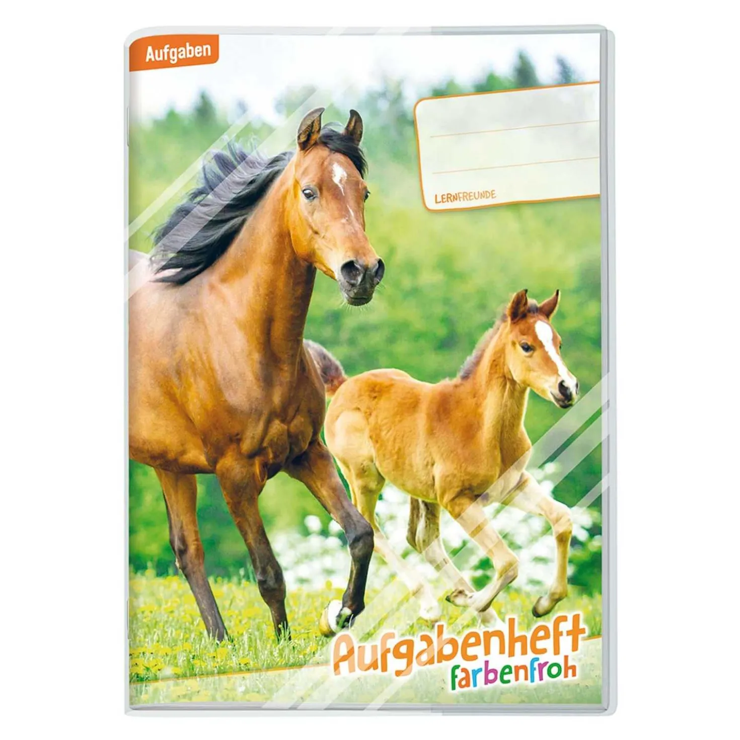 Grundschul-Aufgabenheft DIN A5 für 1 Schuljahr mit farbigen Seiten 4fach