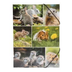 Herma Sammelmappe Waldtiere DIN A4 mit Eckspannern aus Karton