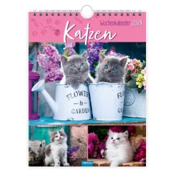 Kalender Katzen Land Katzen, 19 x 25 cm