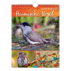Kalender Vögel Freund