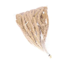 Kolbenhirse gemischt, 500 g