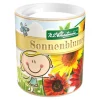 Saatdose Sonnenblume