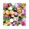 Servietten Tulpenzauber, 33 x 33 cm, 20 Stück