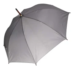Stockschirm