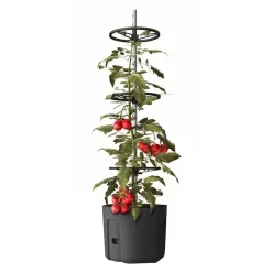 Tomatenpflanztopf