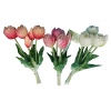 Tulpenstrauß 3 Farben