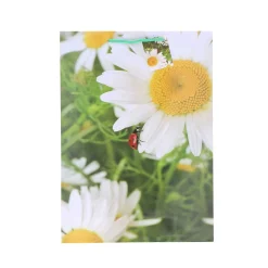 XXL Geschenktüte Lack Blumen A3